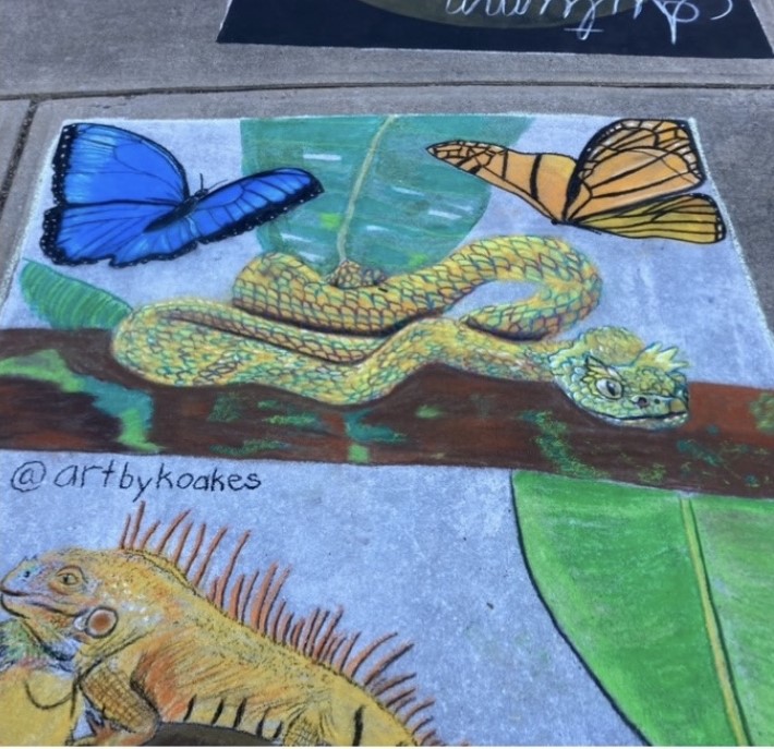 chalk art drawing of plants and animals