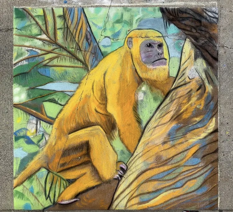 chalk art drawing of a monkey